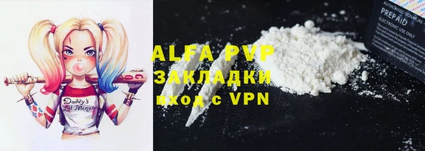 mdpv Бородино