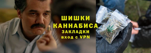 МДПВ Богородск