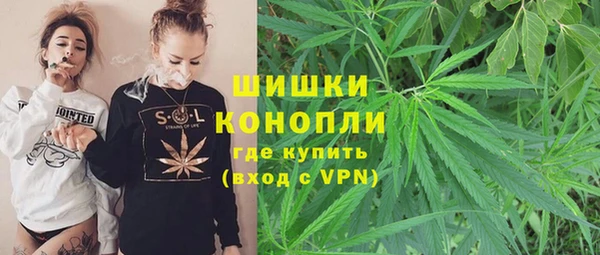 МДПВ Богородск