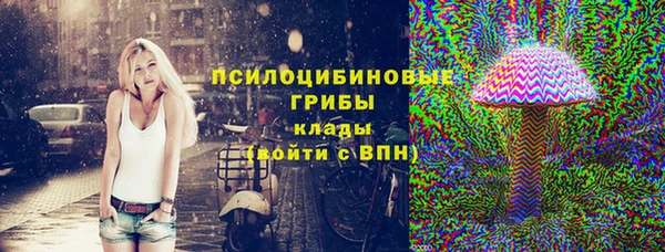 mdpv Бородино
