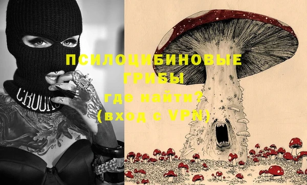 прущая мука Богородицк
