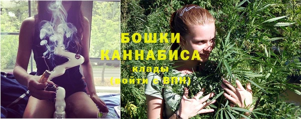 дурь Богданович