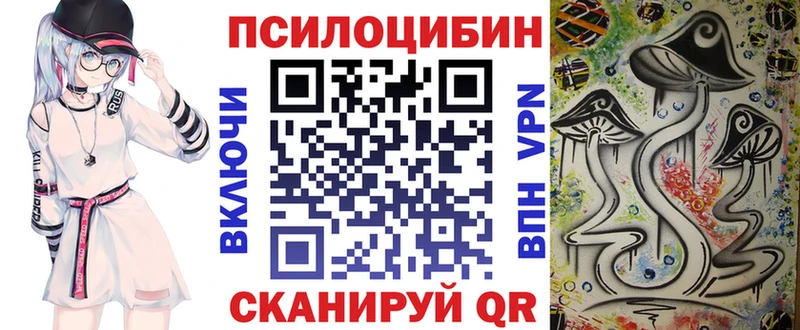 kraken ССЫЛКА  Кимры  Галлюциногенные грибы Psilocybe 